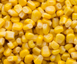 Sweet Corn